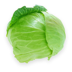 cabbage