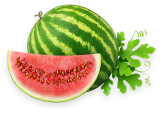 watermelon
